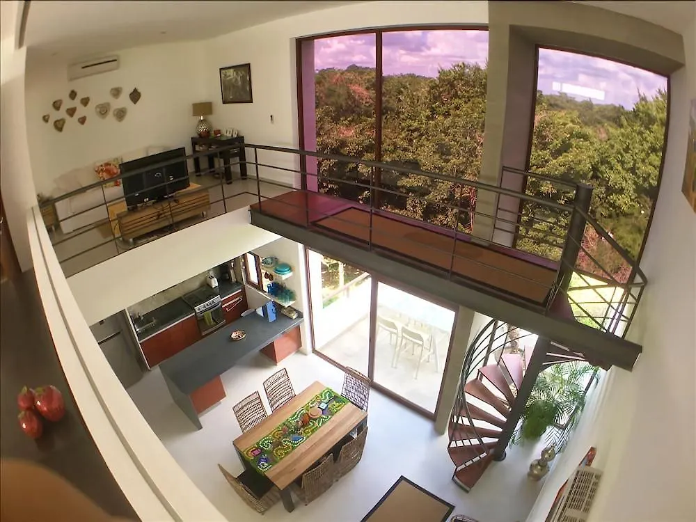 Luxury Rooftop Penthouse By Olahola Akumal Apartment